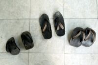 Roldanus' slippers